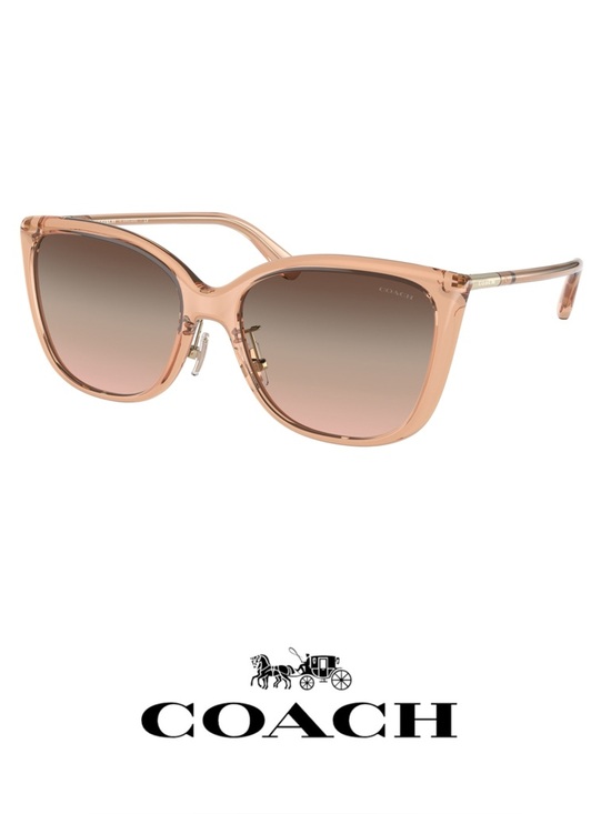 Coach Accessories - Coach Transparent Champagne sunglasses